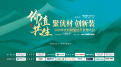 此中“闪净系列”做为行业现象级